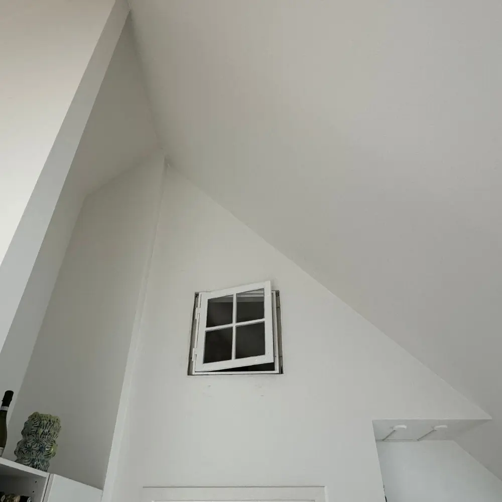 Renovering af tilbygning